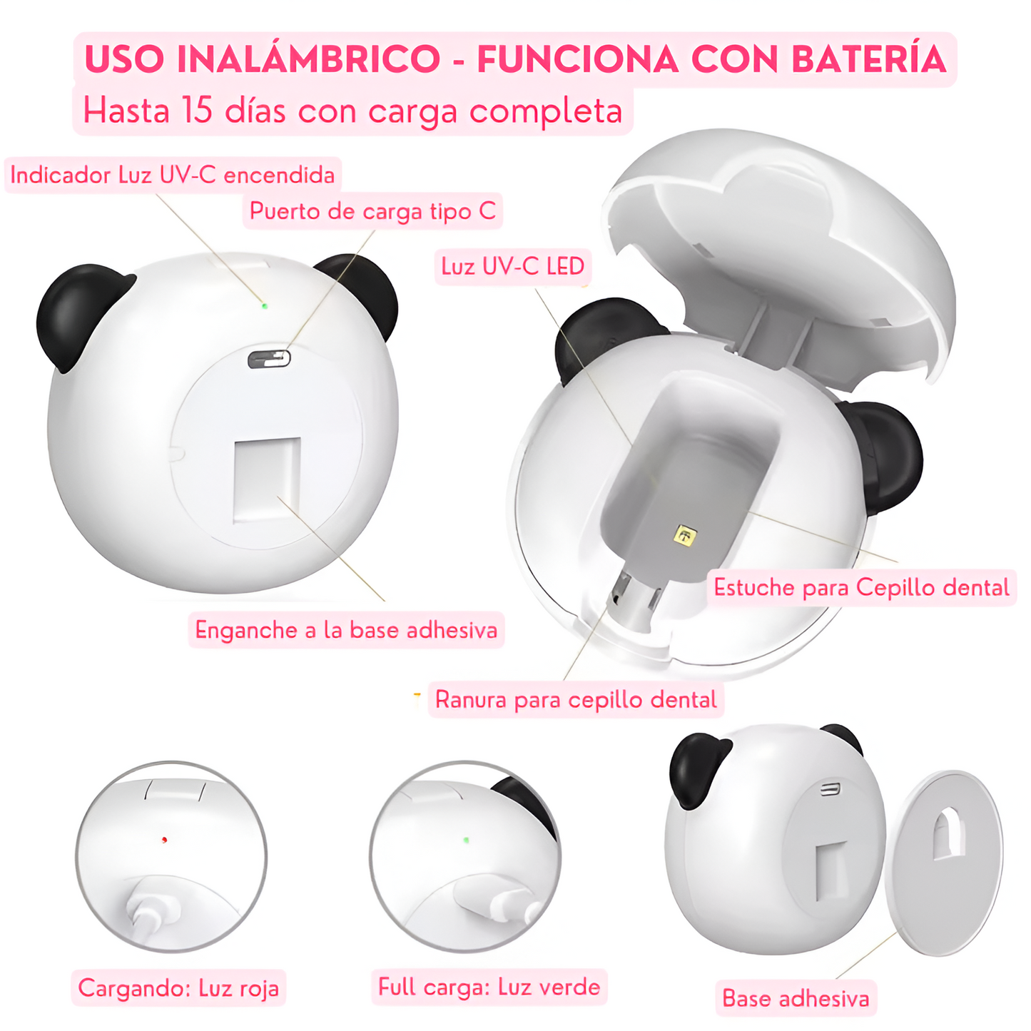 Partes del esterilizador de cepillos de dientes UV Bear.